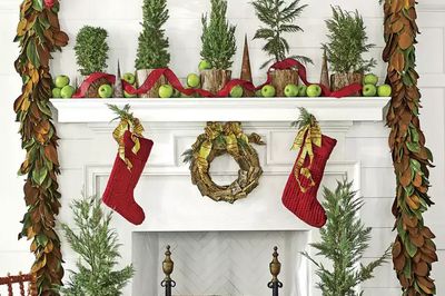 food lion christmas trees